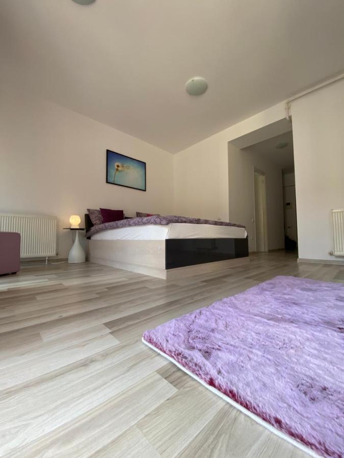 Central Studio Stefan-Braşov Extérieur photo